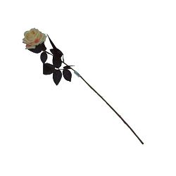 GRANA RUŽA ŽUTA 64 CM