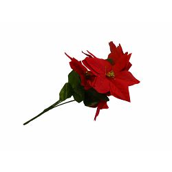 BOŽIĆNA ZVIJEZDA GRANA 5 CVJETOVA 30 CM