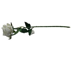 GRANA RUŽA BIJELA 50 CM