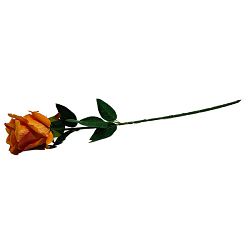 GRANA RUŽA NARANČASTA 50 CM