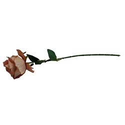 GRANA RUŽA ROZA 50 CM