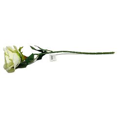 GRANA RUŽA ZELENO-BIJELA 50 CM