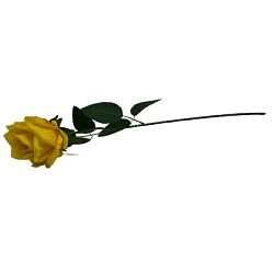 GRANA RUŽA ŽUTA 50 CM