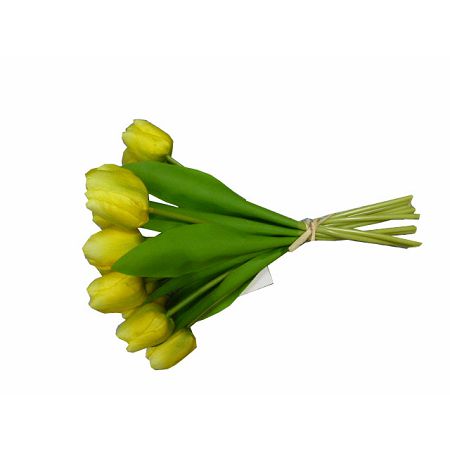 buket-tulipana-12-cvijetova-zuti--ywa1-0244-10_1.jpg